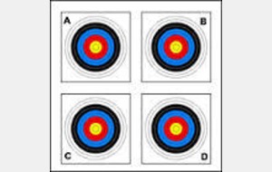 Tir Spécial Jeunes Archers