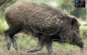 Annulé - Championnat Départemental 77 / Tir nature - Brou Sur Chantereine (Chelles)